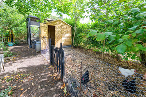 Garden- click for photo gallery